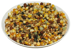 Mieszanka dla gołębi uniwersalna (cena za kg)