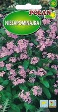Niezapominajka różowa 0,5 g POLAN