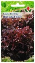 SAŁATA RED SALAD BOWL 2g