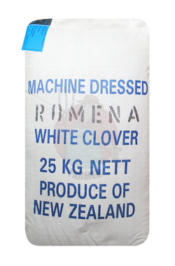 Koniczyna biała Romena kwalifikat C1