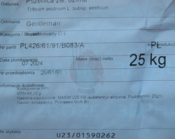 Pszenica ozima Gentleman