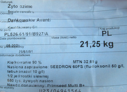 Żyto Dańkowskie Avanti