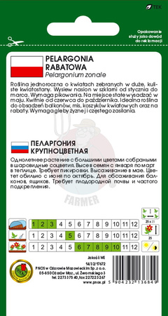 Pelargonia rabatowa F1 różowa 10 z