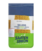 Kukurydza siewna Malongo kwalifikat C1