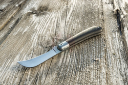 Nóż ogrodowy - szczepak