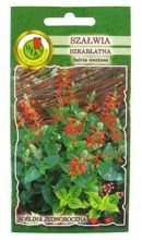 SZAŁWIA SZKARŁATNA 0,3g