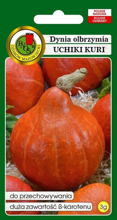 Dynia olbrzymia Uchiki Kuri 3 g