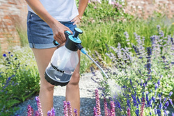 Opryskiwacz ciśnieniowy 1,5 L 42-215 Cellfast