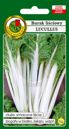 Burak liściowy Lucullus 5 g