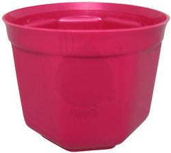 OSŁONKA 17 AMARANT PERŁA