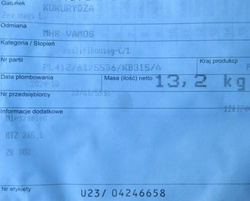 Kukurydza Vamos Kwalifikat C1