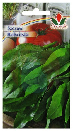 SZCZAW BELWILSKI 2g