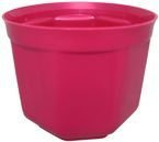 OSŁONKA 17 AMARANT PERŁA