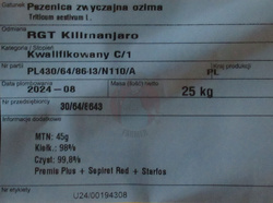 Pszenica Kilimanjaro