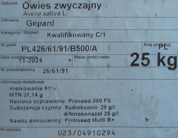 Owies jary Gepard nasiona kwalifikat C1