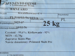 Pszenżyto ozime Fanfaro nasiona kwalifikat C1