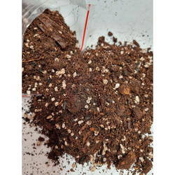 Podłoże do Strelicji 5 L (...4176) Urban Jungle