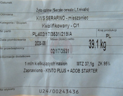 Żyto KWS Serafino - odmiana hybrydowa (cena za jednostkę siewną)