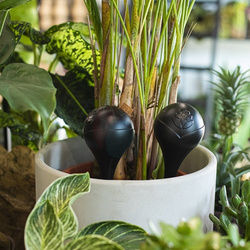 Kule nawadniające do roślin czarne - 2 szt.