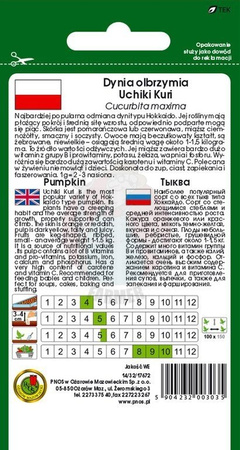 Dynia olbrzymia Uchiki Kuri 3 g