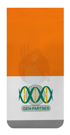 Kukurydza siewna Agnan kwalifikat C1 nasiona