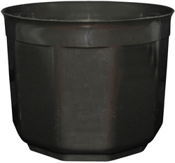 OSŁONKA 19 CZARNA PERŁA