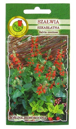 SZAŁWIA SZKARŁATNA 0,3g