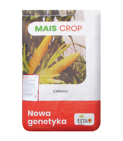 Kukurydza siewna Camaro kwalifikat C1
