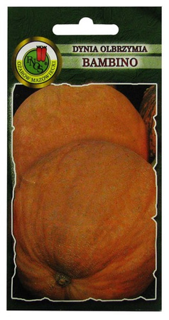 DYNIA OLBRZYMIA BAMBINO 5g