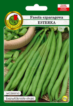 Fasola szparagowa zielona karłowa Esterka 50 g