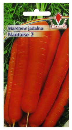 MARCHEW JADALNA NANTAISE 5g