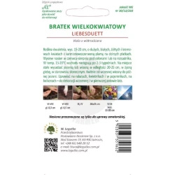 Bratek wielkokwiatowy typ Liebesduett mieszanka 0.4 g Legutko