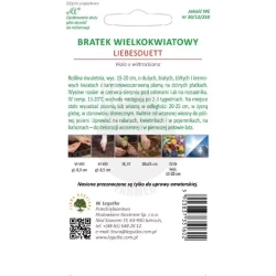 Bratek wielkokwiatowy typ Liebesduett mieszanka 0.4 g Legutko