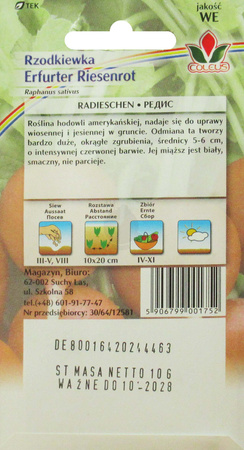 Rzodkiewka Eerfurter Riesenrot 10 g nasiona Coleus