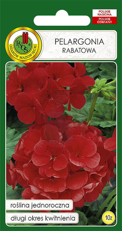 Pelargonia rabatowa F1 czerwona 10 z