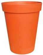 PALMÓWKA 17 TERAKOTA