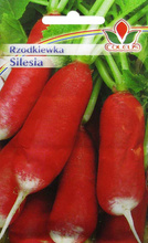 Rzodkiewka Silesia 10 g