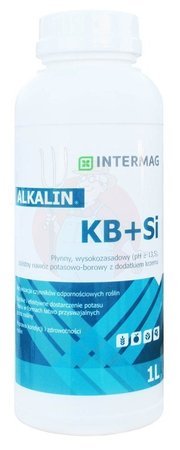 Alkalin KB + Si 1 L