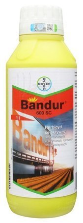 Bandur 600 SC 1 L