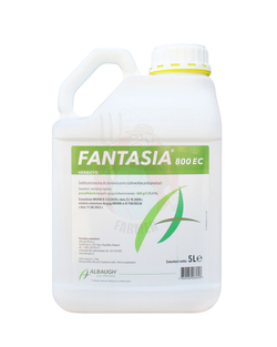 Fantasia 800 EC 5 L