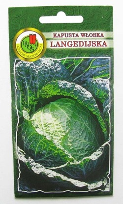 KAPUSTA WŁOSKA LANGEDIJSKA 2g