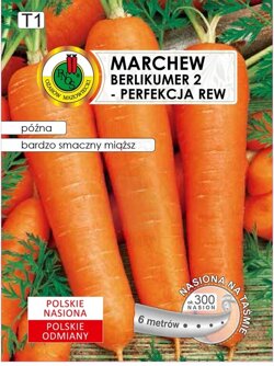 Marchew jadalna Berlikumer 2 - Perfekcja 6 m