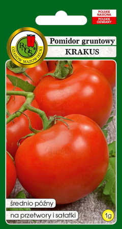 Pomidor gruntowy Krakus 1 g