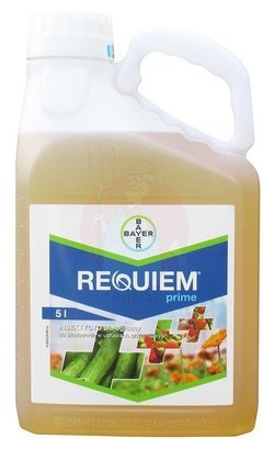 Requiem Prime 5 L