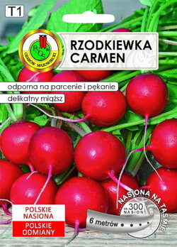 Rzodkiewka Carmen 6 m