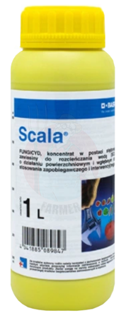 Scala 1 L